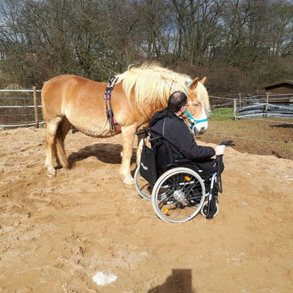 Ein Mann im Rollstuhl begegnet einem Pony im Freien.